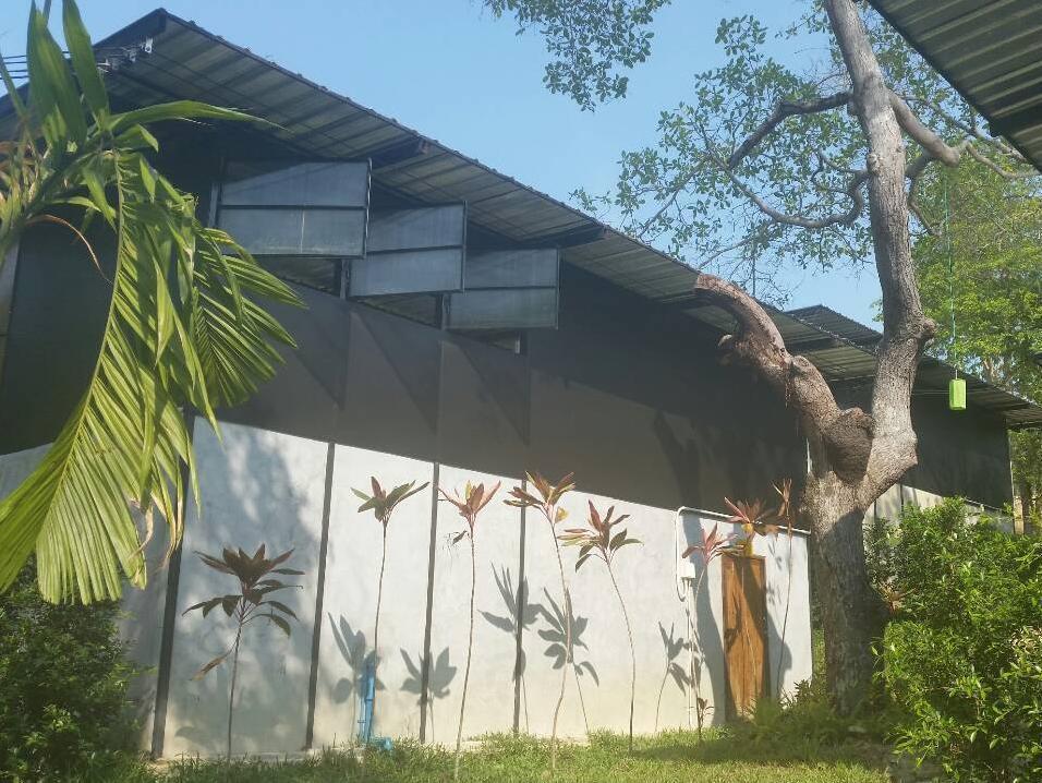 Himmapan Resort Koh Phayam Buitenkant foto